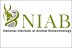 Senior Research Fellow (Post Graduate) In National Institute Of Animal Biotechnology