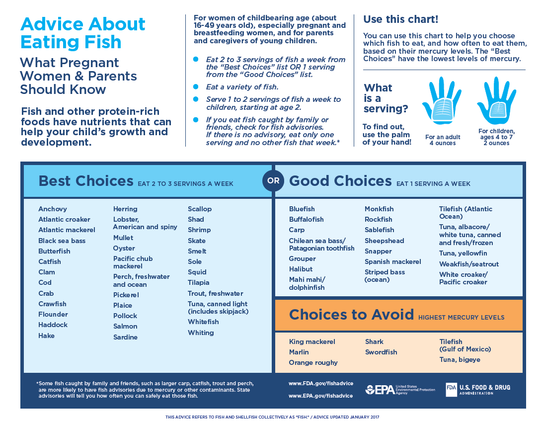 Ob/Gyn Updated ACOG issues a practice advisory on eating seafood