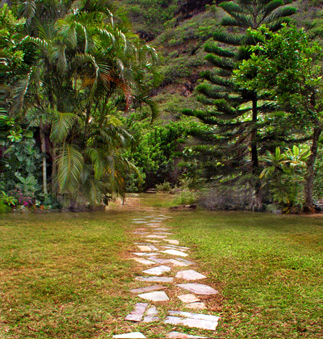 Windward Tropical Mountain Path