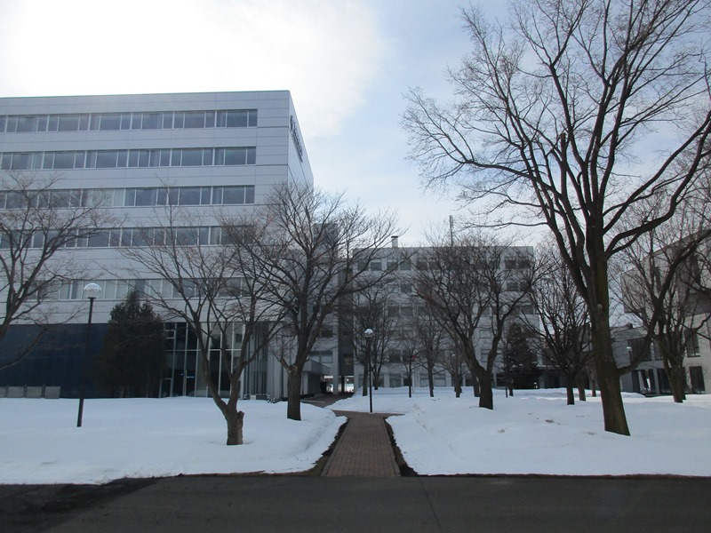 今日もwe ありがとうの日