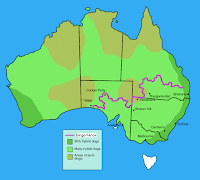 Canis dingonun Avustralya'da yaşadığı bölgeler