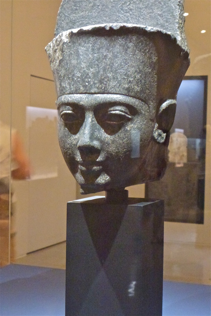 Origami, Aesthetics and Natural History