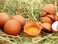 Manfaat dari Cangkang Telur Bagi Tanaman