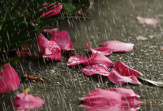 chuva.gif