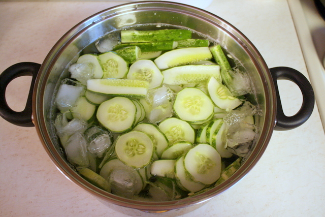 Live. Read. Create. Thrive!: the pickle tree