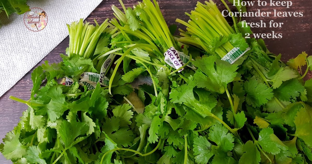 How to Store Coriander/Cilantro Leaves for 23 weeks / What do you do