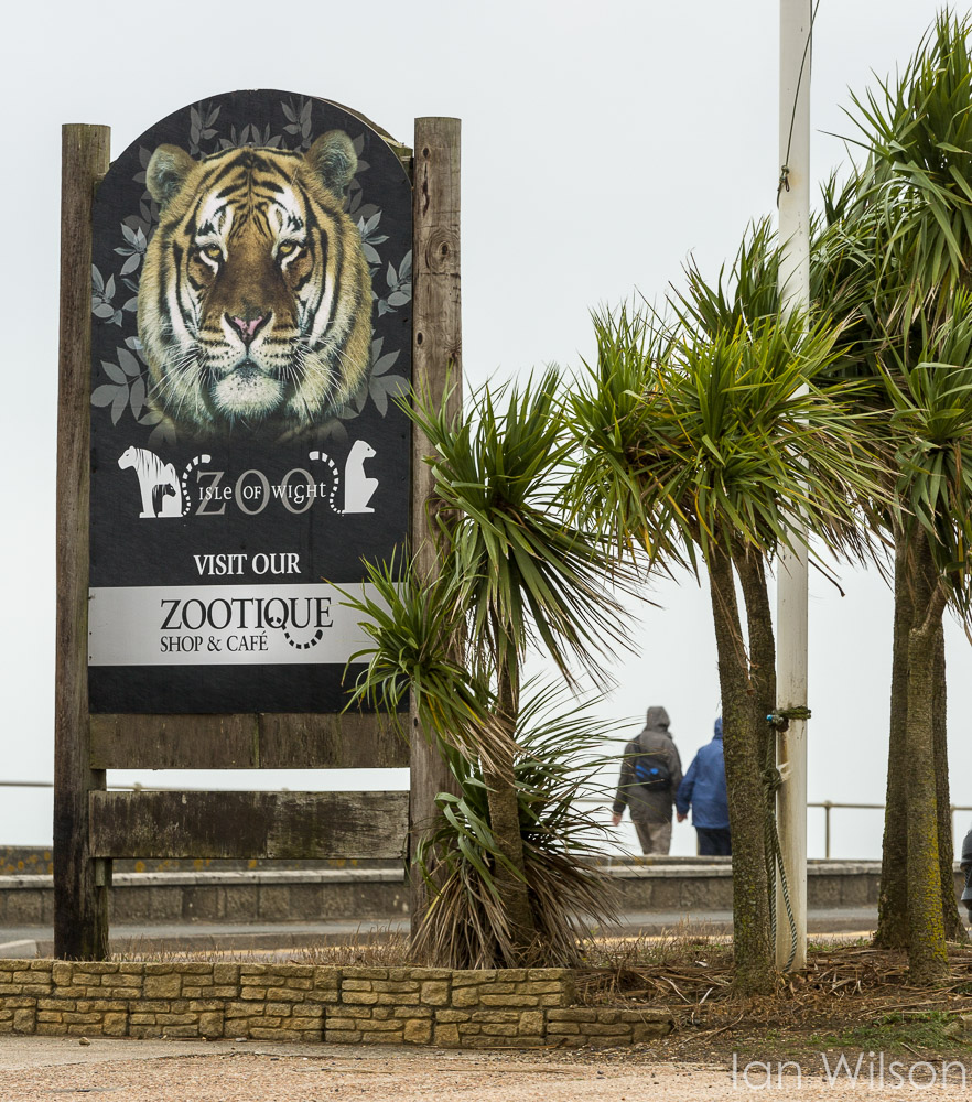 Little Green Men Photography Isle of Wight Zoo
