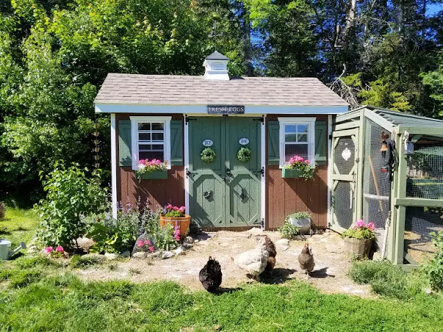 Brown chicken coop with green shutters and flowers
