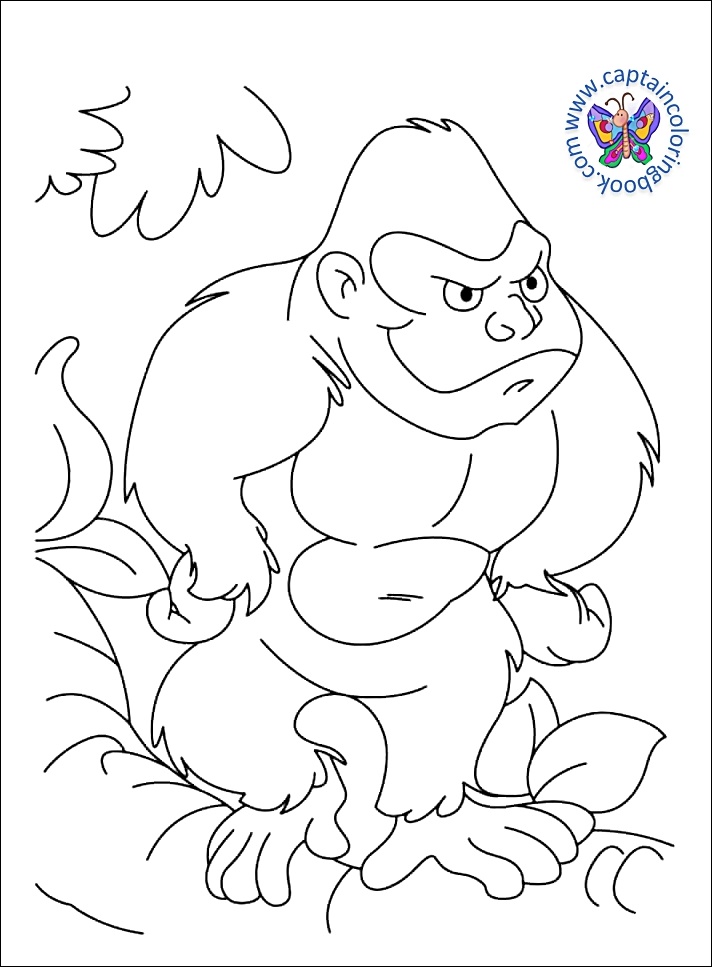 Coloring book pdf download
