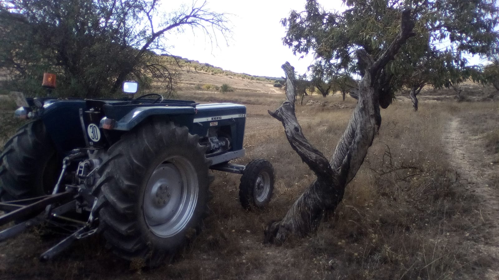 Más que Máquinas Agrícolas RESTAURACIÓN DEL TRACTOR EBRO 155E