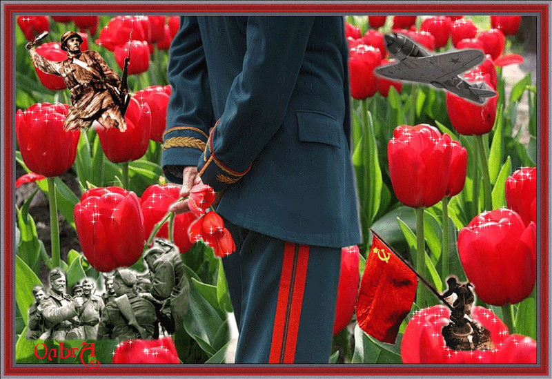 Счастливый май счастливый край. Тюльпан с днем Победы!. С праздником Победы тюльпаны. Тюльпаны 9 мая. Красивые тюльпаны день Победы.