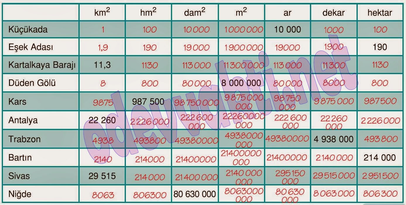 6.Sınıf Matematik Dörtel Yayıncılık Çalışma Kitabı Cevapları Sayfa 230