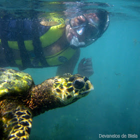 Fernando de Noronha - snorkel no Sueste com tartarugas