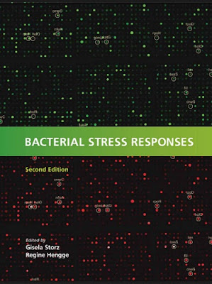 Bacterial Stress Responses 2nd Edition