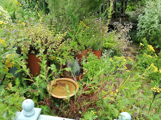 Herb Garden, ogródek ziołowy