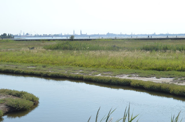 percorsi a piedi laguna di venezia