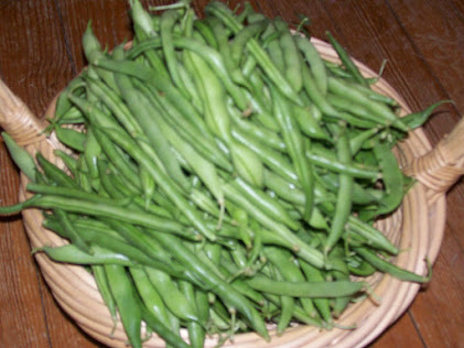 One of the World's Healthiest Foods: Green Beans