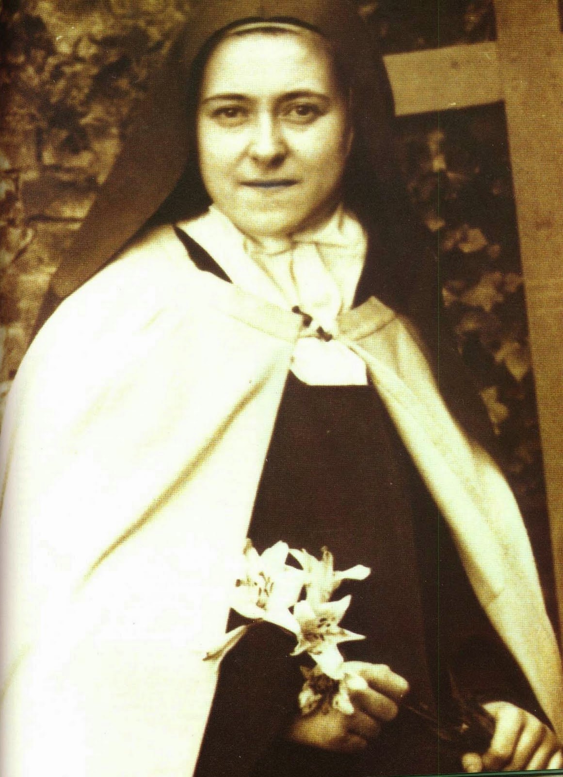 PIETRE VIVE Il paradosso di Santa Teresa del Bambin Gesù monaca di clausura, morta giovanissima PIETRE VIVE Il paradosso di Santa Teresa del Bambin Gesù monaca di clausura, morta giovanissima