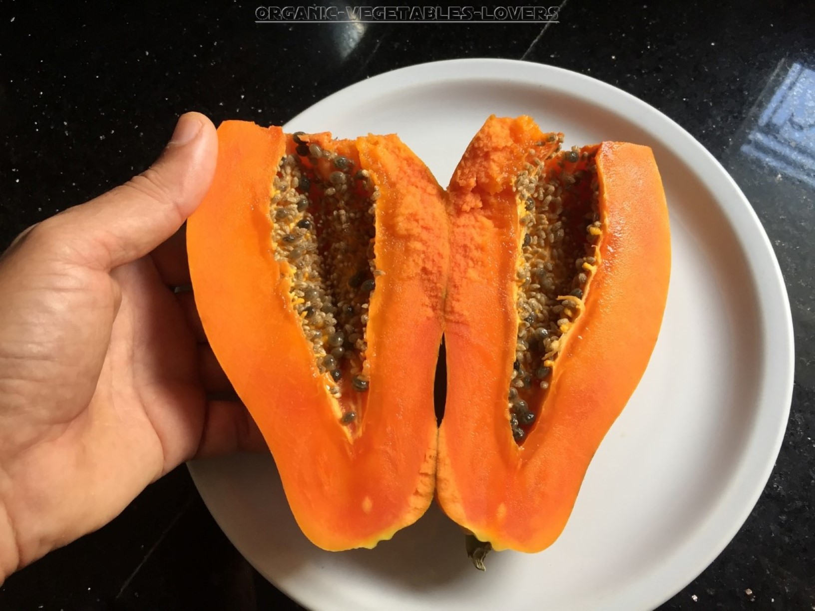 You can use any shop bought papaya for seeds