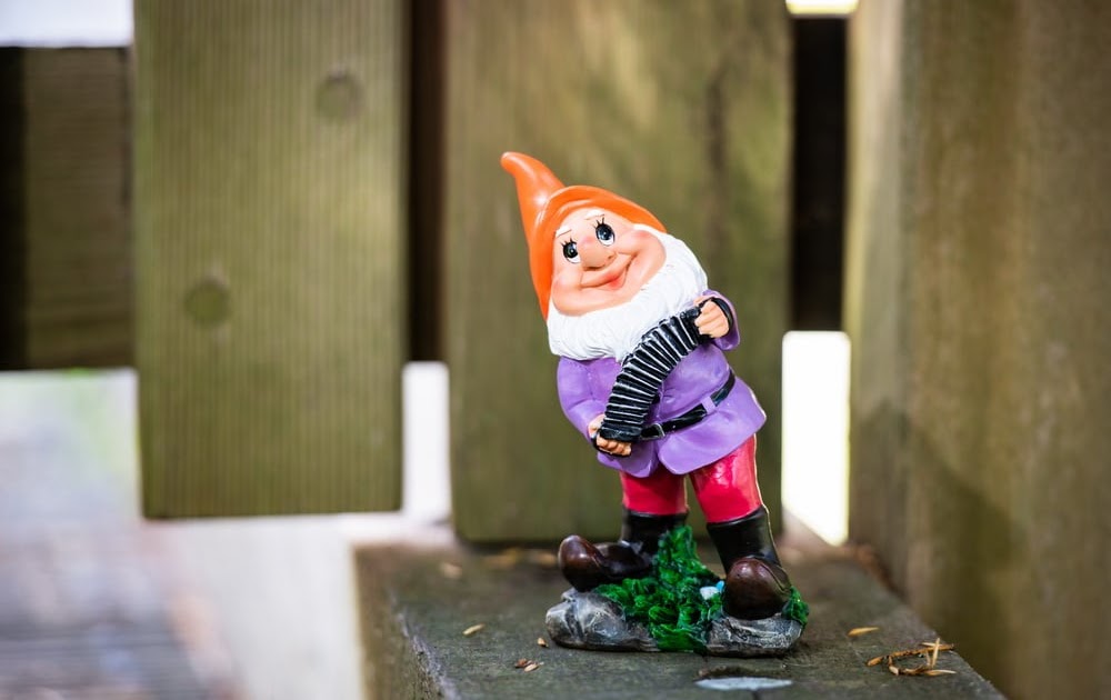 Gnome Names 300+ Gnome Name Ideas for Everyone