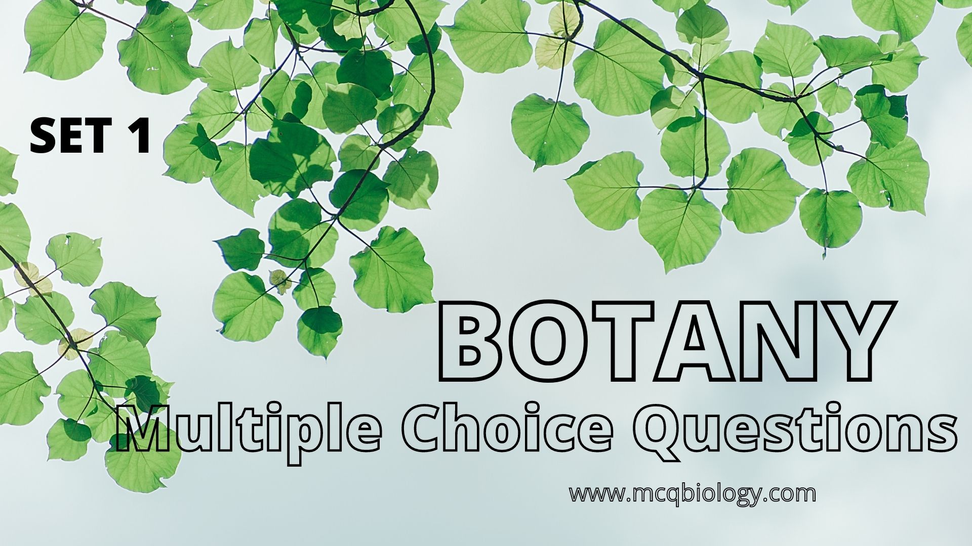 Botany Multiple Choice Questions (Set 1)