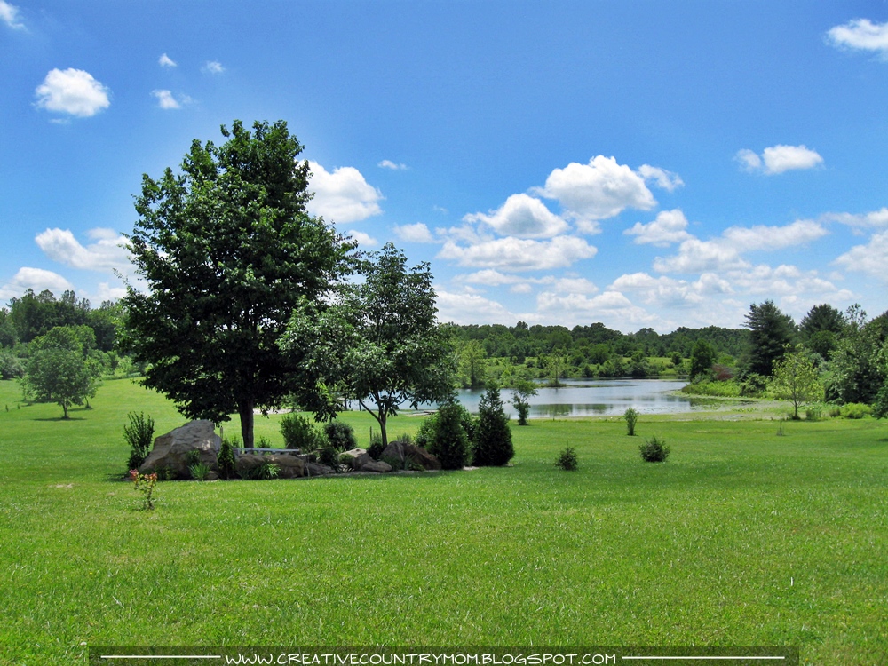 Suddenly Southern : The Farmhouse Garden