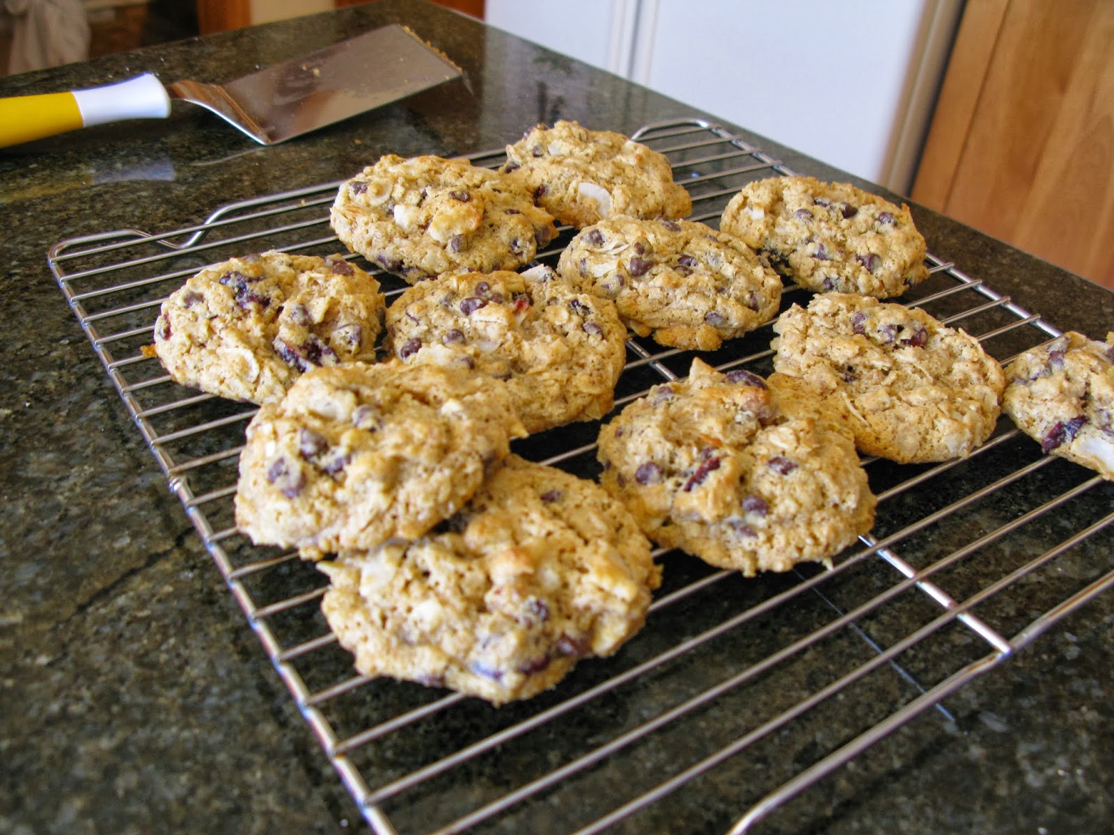 Laura's Culinary Adventures Graham Cracker and Oatmeal Cookies