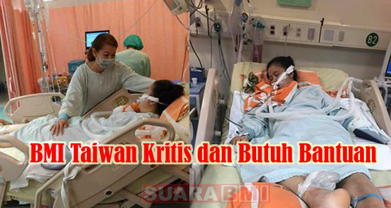 Surat Kontrak Kerja Tki Taiwan / Kontrak Kerja Taiwan