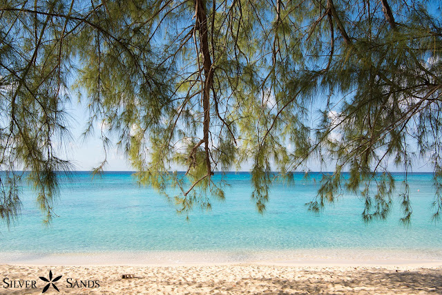 7-mile beach accommodation,Grand Cayman beach rentals,Silver Sands Condos,cayman staycation,beachsunsets,Cayman Islands Vacation Rentals,7-mile beach condos,beach vibes