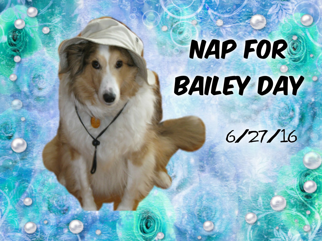 Let's all snooze on Monday in honor of Bailey!