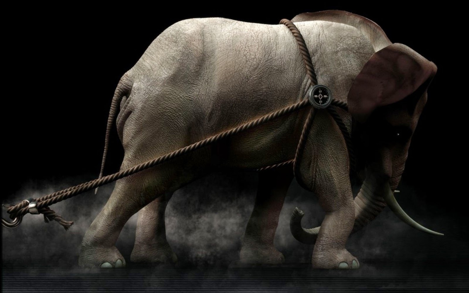 Free download Software Games Wallpapers Books Android smartphone Apps