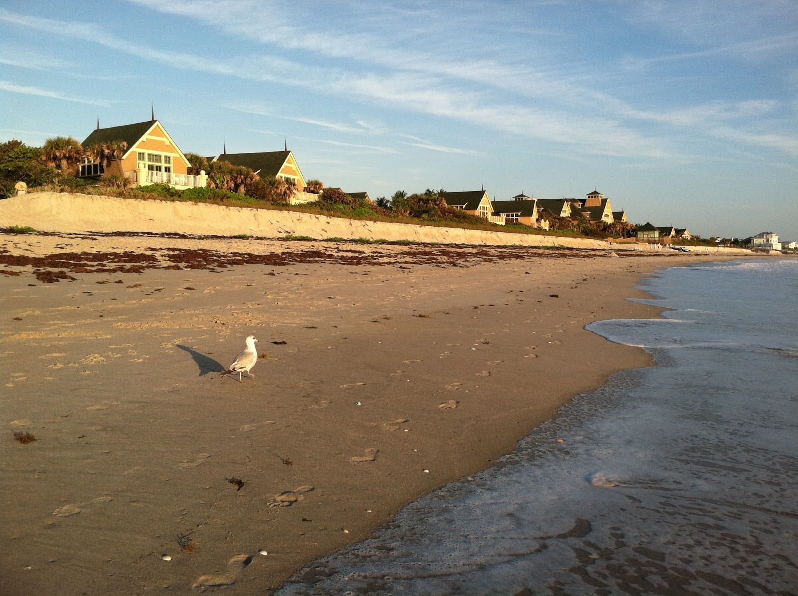 heading-home-to-disney-s-vero-beach-resort-check-in-florida-the