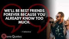 Funny Quotes on Friendship 02