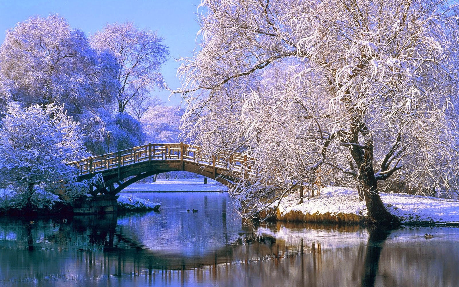 Hình Nền Mùa Đông Đẹp | Winter Wallpaper Full Hd