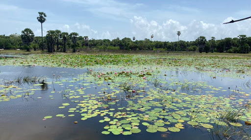 இது என் கனவுதேசம்