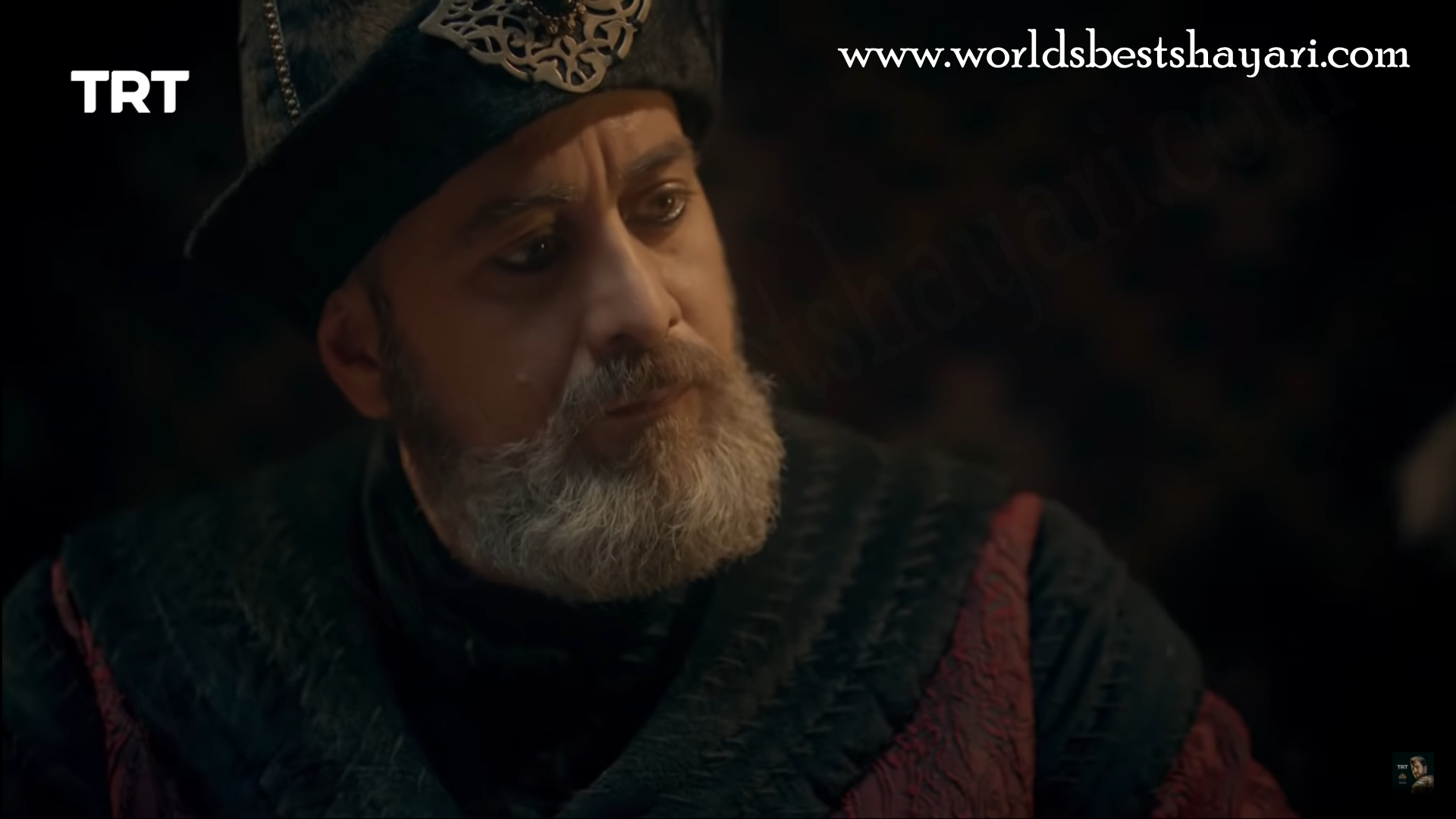 Ertugrul Sadettin Köpek wallpaper hd walls