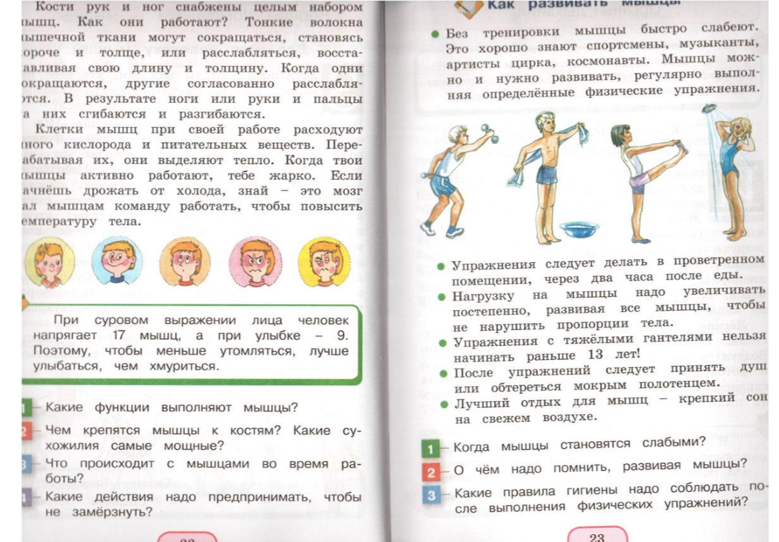 Слайд работа по учебнику. Окружающий мир 3 класс стр 23 задание. Окружающий мир. Окружающий мир 3 класс рабочая тетрадь плешаков стр 21. Задание по окружающему миру охрана растений.