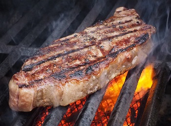 Are You Getting Enough Protein to Avoid Starvation?