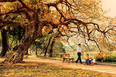 Nỗi nhớ mùa Thu- Nhật Quang