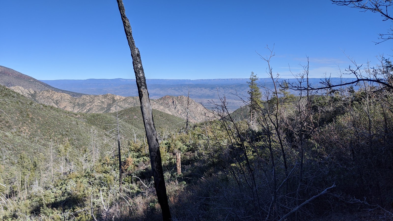 My Two Schillingsworth Cane Springs Loop