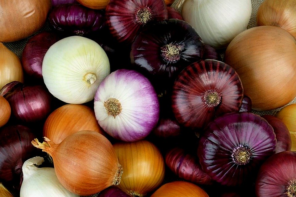Health benefits of eating onions Health Benefits of Eating Vegetables