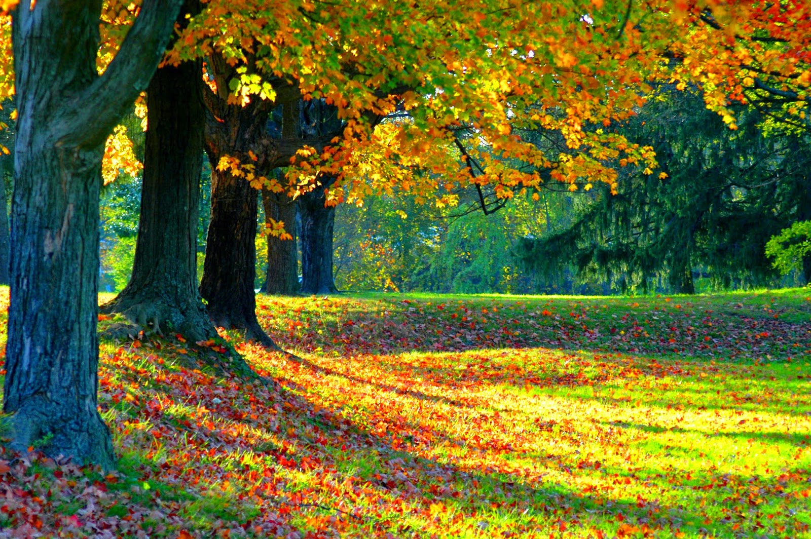 fromtheeditr: Gratutide: The Magic of Autumn