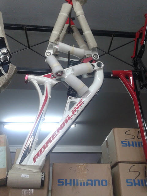 frame adrenaline dh team