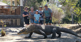 Isla de Rinca o Rinca Island, Parque Nacional de Komodo. Indonesia.