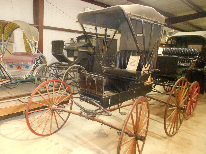 Horse Buggies | Western Trips