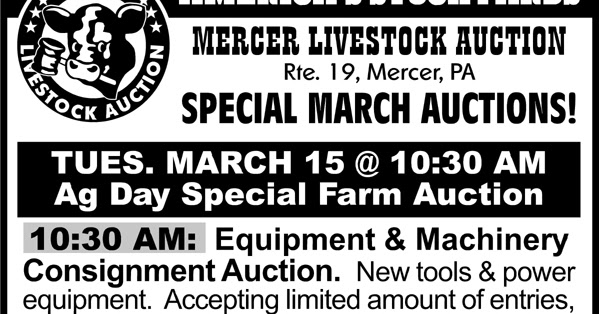 mercer livestock auction pa