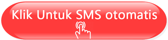 sms otomatis