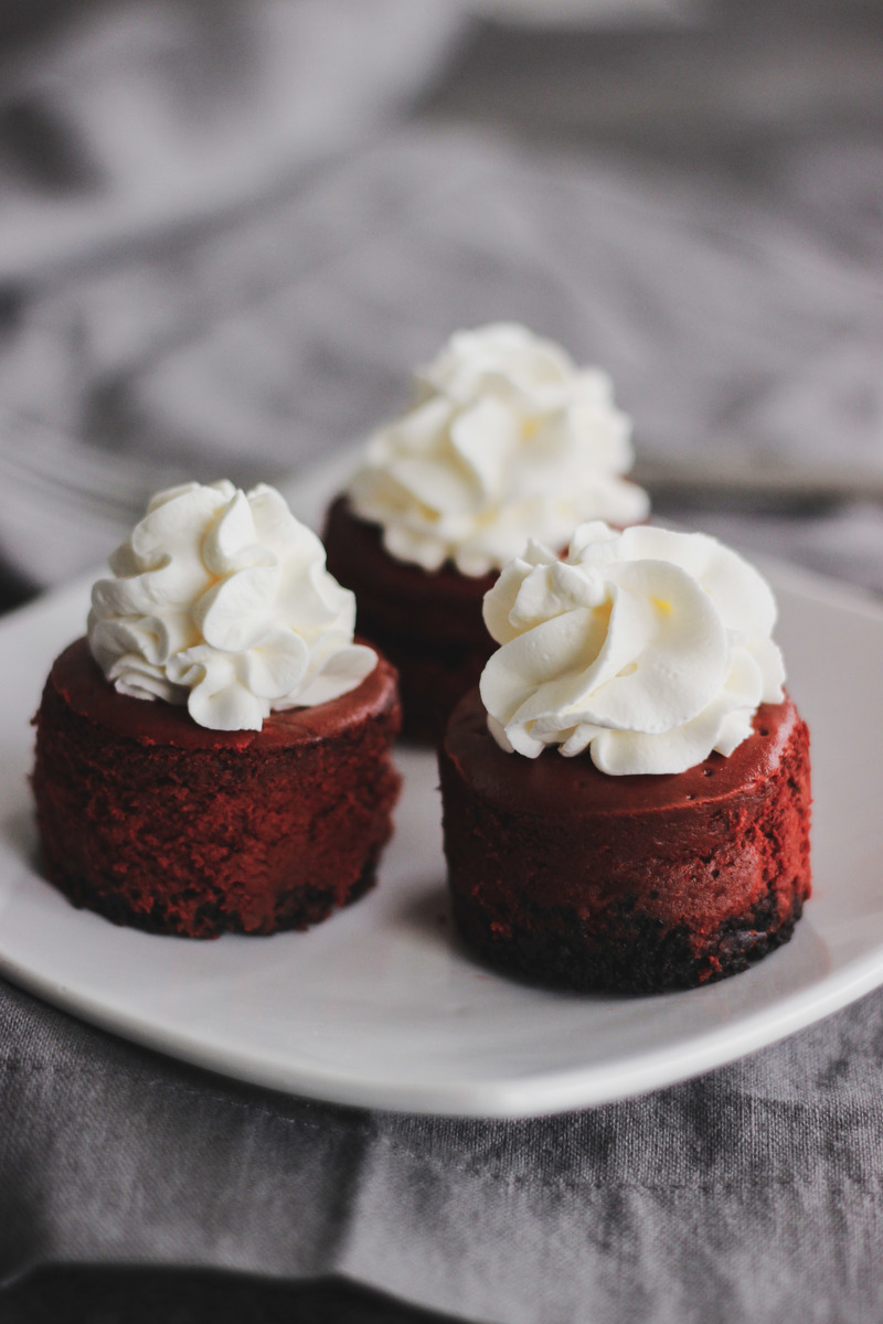 Mini Red Velvet Cheesecakes Confessions of a Confectionista