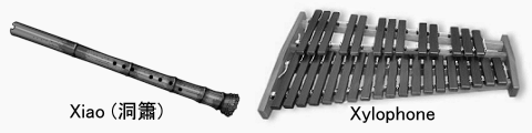 World musical instruments: X .. world musical instruments