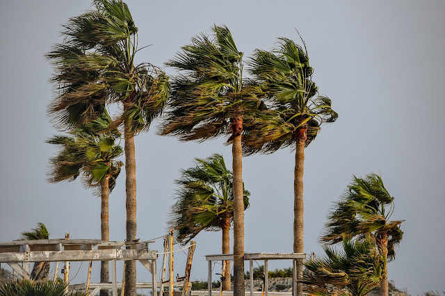 wind wind